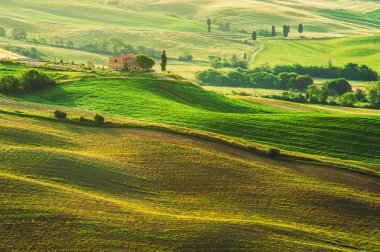 Spring field around Pienza, on the road between Siena and Rome clipart