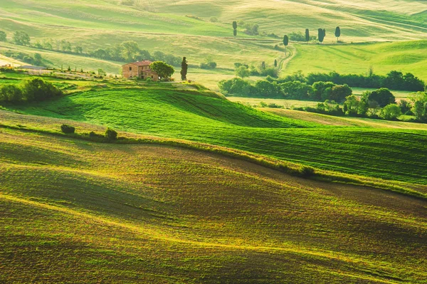 Campo de primavera em torno de Pienza, na estrada entre Siena e Roma — Fotografia de Stock