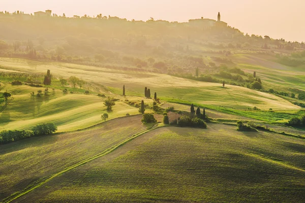 Spring field sekitar Pienza, di jalan antara Siena dan Roma — Stok Foto