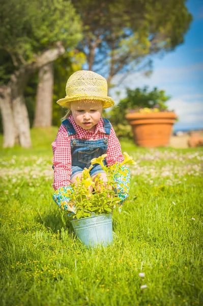 Küçük Yardımcısı yeşil çim bir yaz gününde — Stok fotoğraf