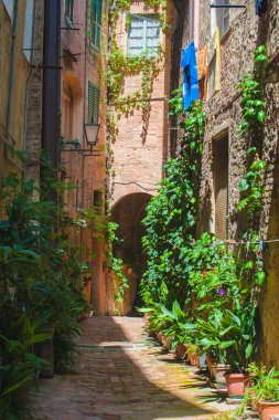 siena eski İtalyan şehir sokaklarında