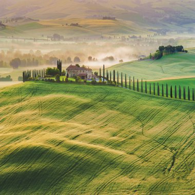 Tuscan evde tepeler arasında selvi