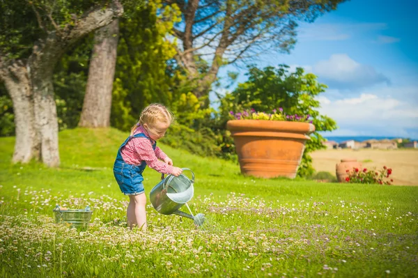 Pequeño jardinero sobre la hierba verde en un día de verano —  Fotos de Stock