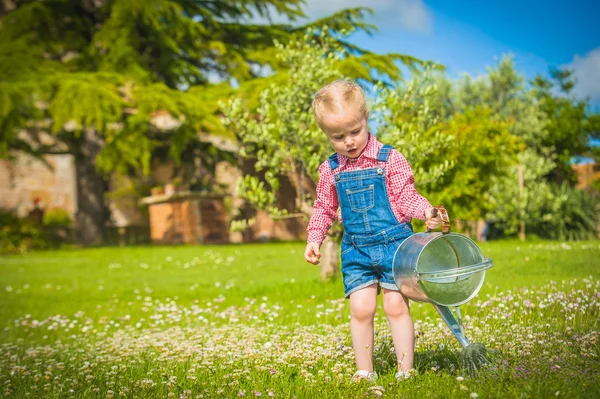 Little gardiner on the green grass in a summer day — Stock Photo, Image