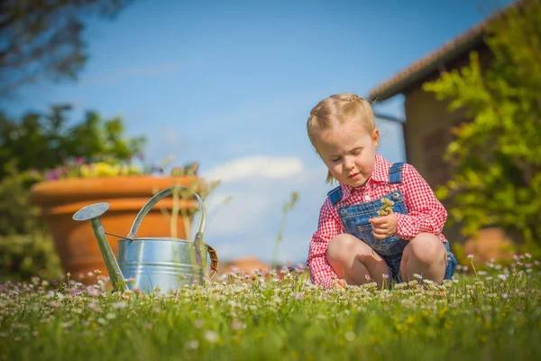 Маленький садівник на зеленій траві в літній день — стокове фото