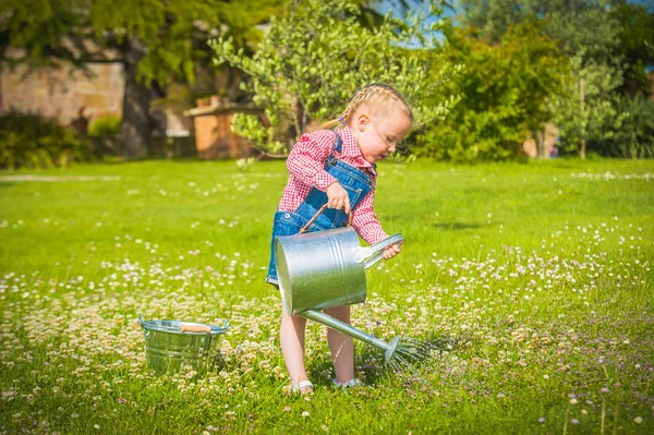 Pequeño jardinero sobre la hierba verde en un día de verano —  Fotos de Stock