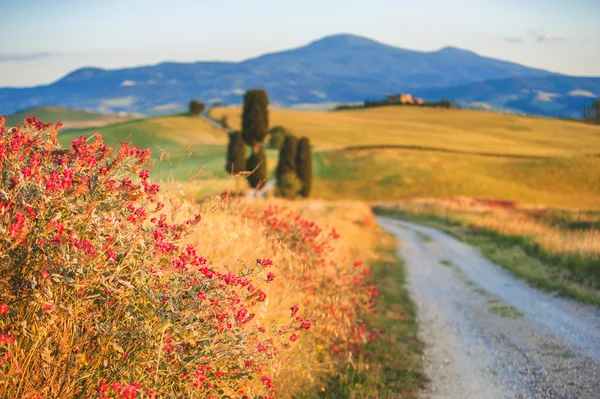 Estrada branca natural na Toscana, Itália — Fotografia de Stock