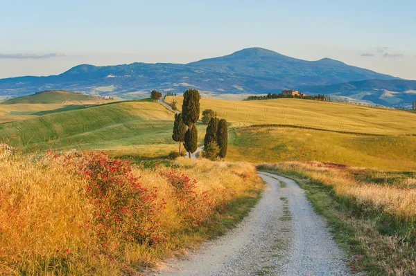 Estrada branca natural na Toscana, Itália — Fotografia de Stock