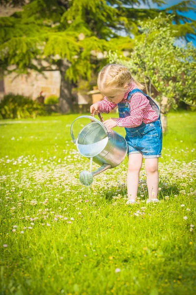 Petit jardinier sur l'herbe verte dans une journée d'été — Photo