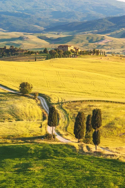 Естественная белая дорога в Тоскане, Италия — стоковое фото