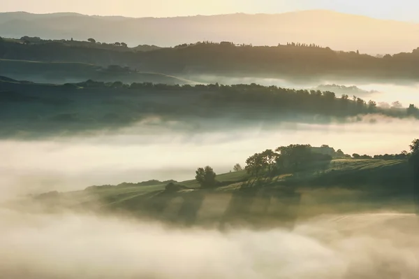 Туманное утро на тосканском поле, Италия — стоковое фото