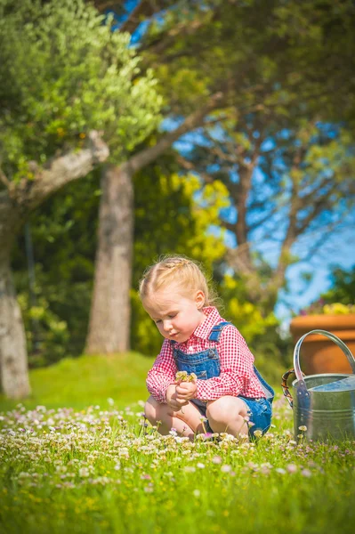 Malý gardiner na zelené trávě v letní den — Stock fotografie