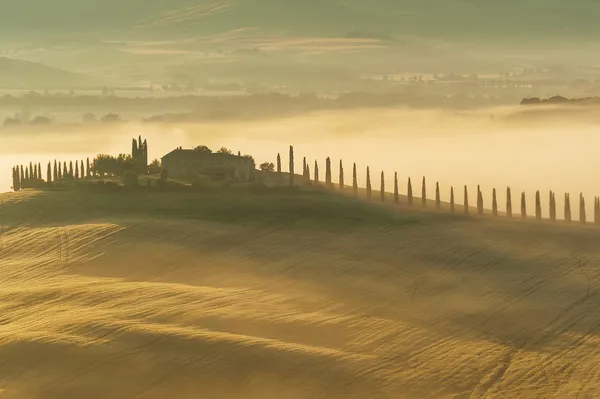Niebla toscana en los campos sol, Italia —  Fotos de Stock