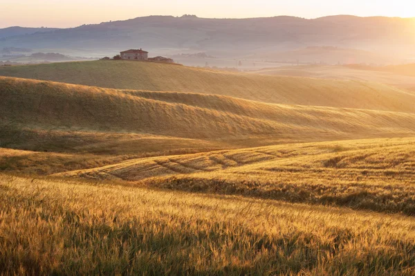 Toskanischer Nebel in den Feldern Sonnenschein, Italien — Stockfoto