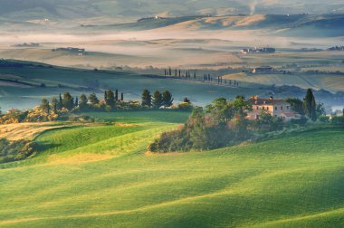 The mysterious fog surrounding Tuscan house and fields, Italy clipart