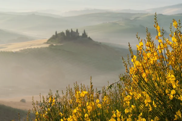 Η μυστηριώδης ομίχλη οι περιβάλλοντες Tuscan σπίτι και πεδία, Ιταλία — Φωτογραφία Αρχείου