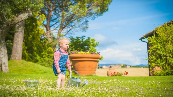 Little gardiner on the green grass in a summer day — Stock Photo, Image