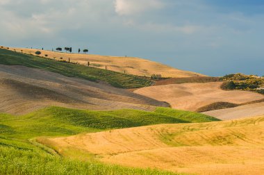 tuscan huzur alanları yolda yürürken