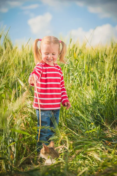 Little girl plays with between green grains — Stock Photo, Image