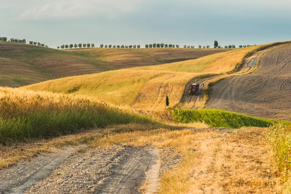 Tuscany, İtalya 'da tarlalarda römorklu bir traktör. — Stok fotoğraf