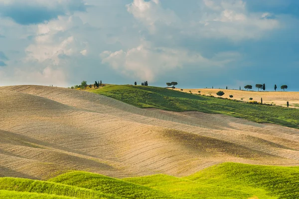 Campos y paz en el cálido sol de Toscana, Italia — Foto de Stock