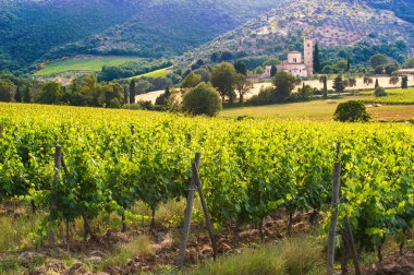 Abbey sant'antimo arasındaki bağları Toskana, İtalya