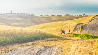 Tuscany, İtalya 'da tarlalarda römorklu bir traktör.