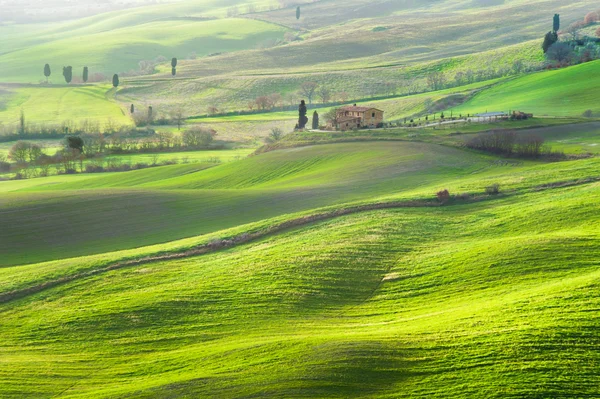Légkör zöld tavaszi táj Toszkána, Olaszország — Stock Fotó