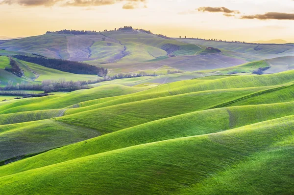 Sonnige Felder in der Toskana, Italien — Stockfoto