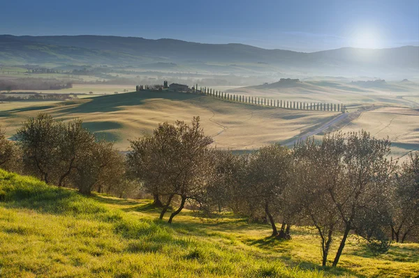 A famosa paisagem toscana de Val d 'Orcia — Fotografia de Stock