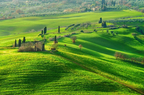 Atmosfer musim semi hijau di sebuah lanskap Tuscany, Italia — Stok Foto