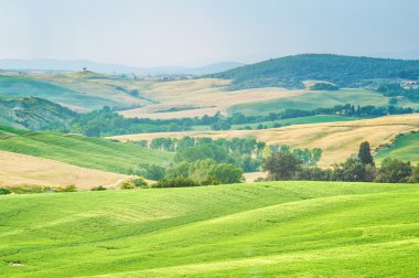 ağaçlar, alanlar ve atmosfer Toskana, İtalya