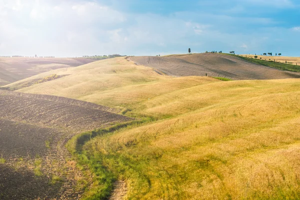 Fields and peace in the warm sun of Tuscany, Italy — Stok Foto
