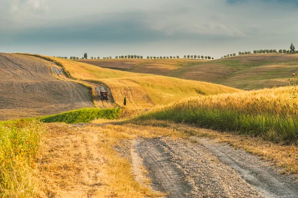 Tractor with a trailer on the fields in Tuscany, Italy — Stock Photo, Image