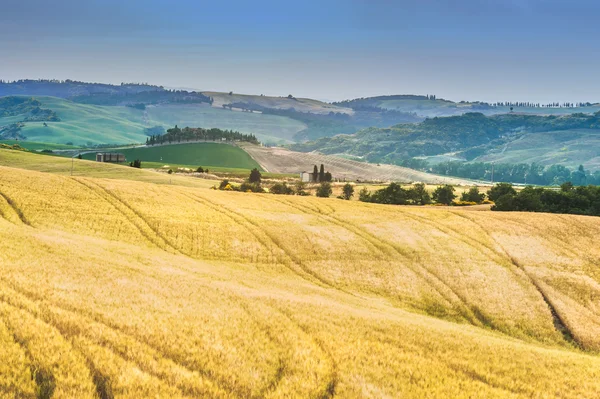 Drzewa, pola i atmosfera w Toskanii, Włochy — Zdjęcie stockowe
