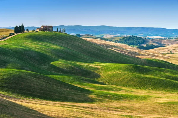 Toskánské letní na polích v krásný výhled — Stock fotografie