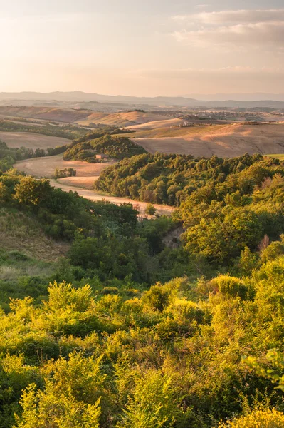 Tuscan landscape in warm calm day, Italy — Stock Photo, Image