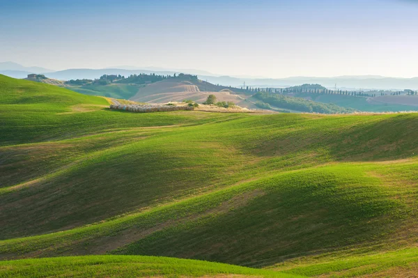 Toskanischen Sommer auf den Feldern in der schönen Aussicht — Stockfoto