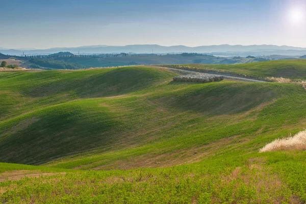 Toscaanse zomer op de velden in het prachtige uitzicht — Stockfoto