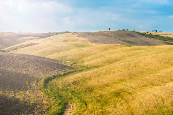 Campi e pace al caldo sole della Toscana — Foto Stock