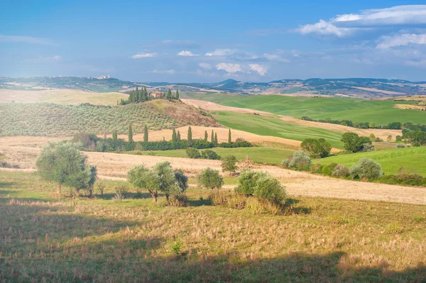 Летний тосканский пейзаж, зеленое поле и голубое небо — стоковое фото