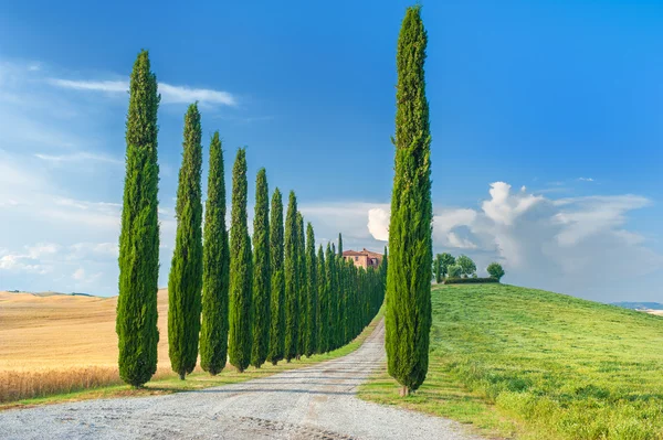 Sommer toskanische Landschaft, grüne Wiese und blauer Himmel — Stockfoto