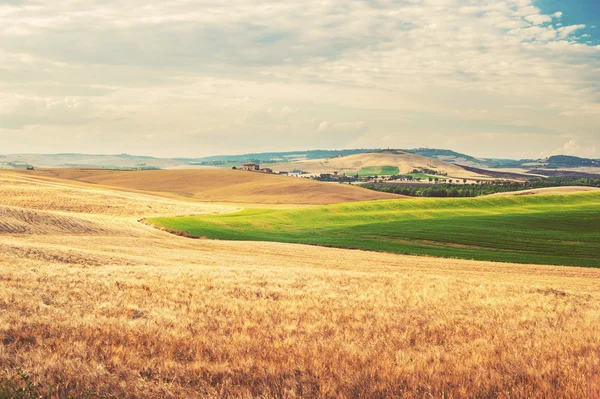 Verão paisagem toscana, campo verde e céu azul — Fotografia de Stock