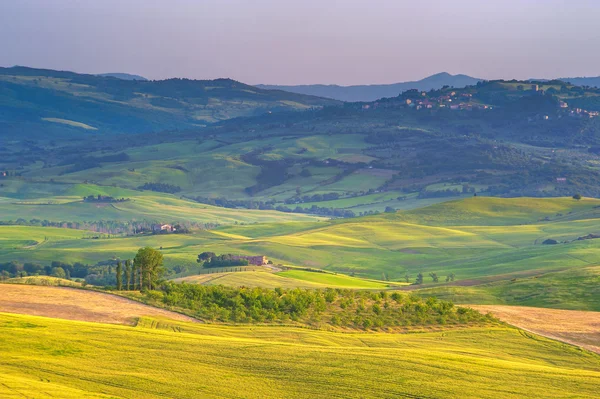 Тосканская пружина в полях на ландшафте — стоковое фото