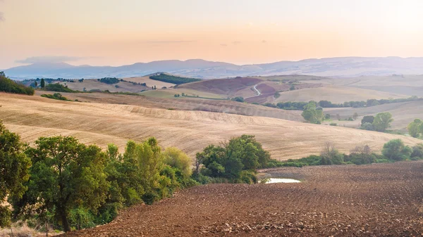 Summer field in beautiful light of the rising sun in Tuscany, It — Stok Foto