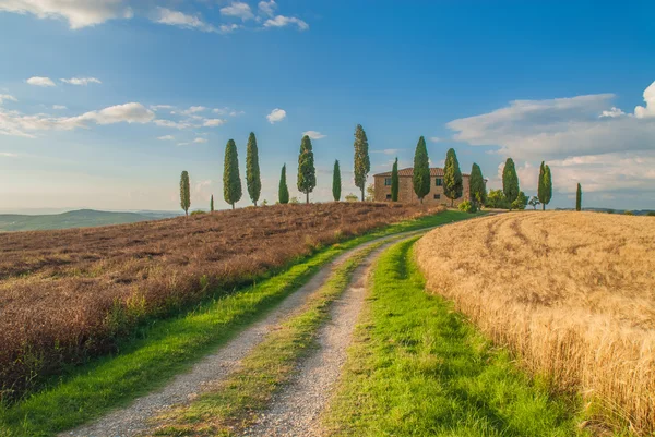 Vistas clásicas de la Toscana alrededor de Pienza, Italia — Foto de Stock