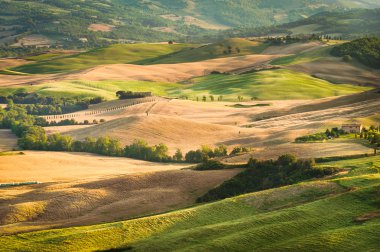 val d'orcia doğal park unesco listesinde yazılı