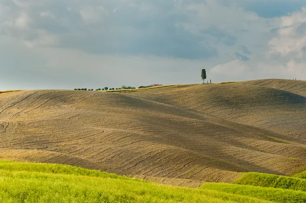 Fält och fred i den varma solen i Toscana, Italien — Stockfoto