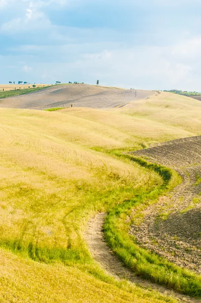 Felder und Ruhe in der warmen Sonne der Toskana, Italien — Stockfoto