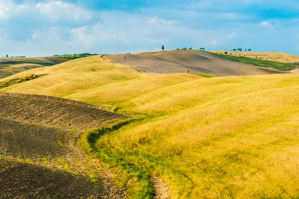 Campos e paz ao sol quente da Toscana, Itália — Fotografia de Stock